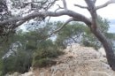sentier du littoral : pointe Fauconnière